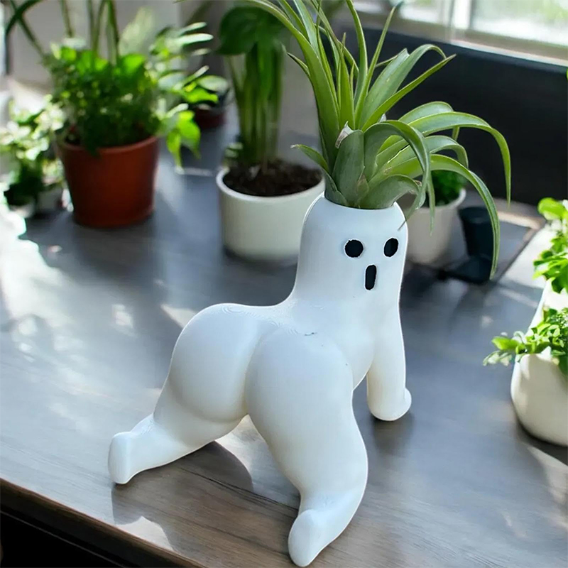 Funny Big Booty Ghost Planter  - Echeveria Succulent review and price